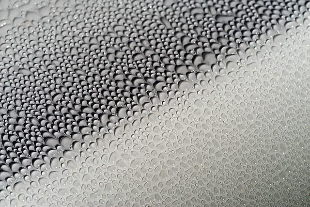 sports car detailing close-up polished surface reflections premium car care gallery